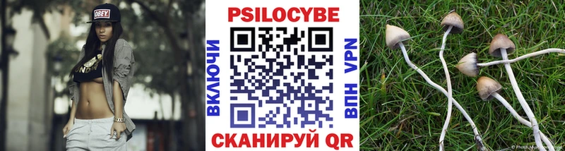 Галлюциногенные грибы ЛСД  Трубчевск 