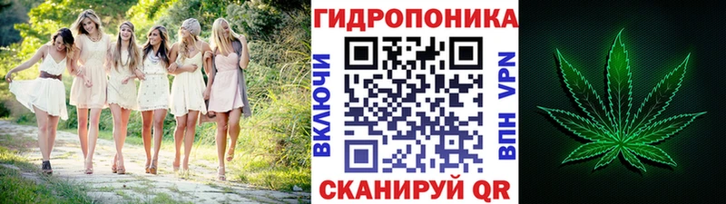 Шишки марихуана план  Трубчевск 